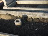 image of grave number 198641